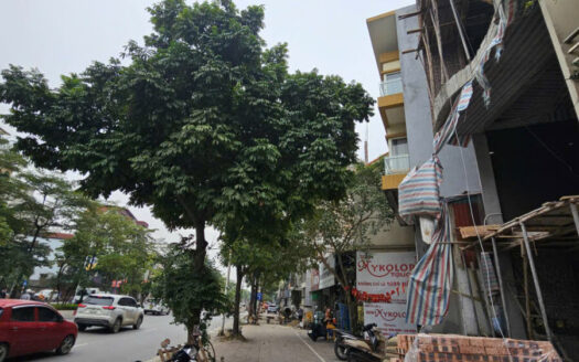 Nhà 7 Tầng Mặt Cổ Linh Vỉa Hè Rộng Kinh Doanh Đỉnh